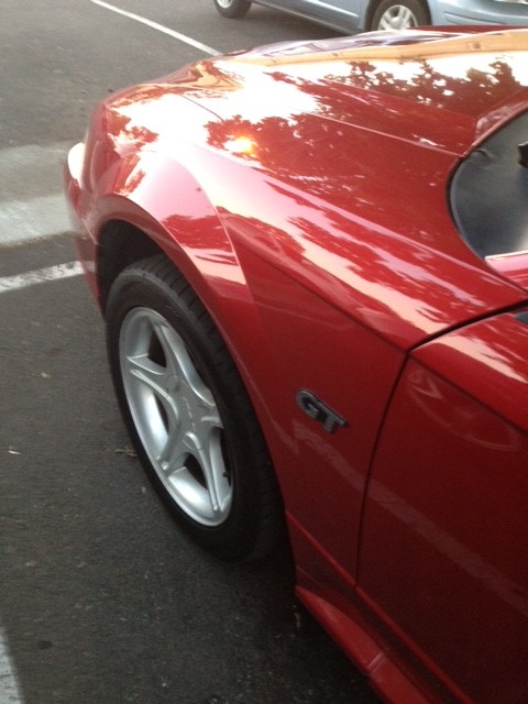 Red Mustang detail